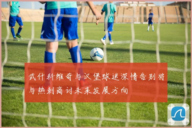 武什科维奇与汉堡球迷深情告别将与热刺商讨未来发展方向